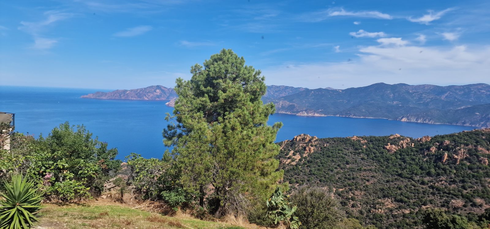 Les Calanques de Piana par la route